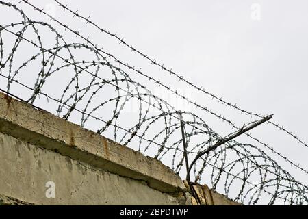 Barbed wire spirals on a concrete fence. The metaphor of imprisonment and lack of freedom. Security perimeter of the enterprise. Stock Photo