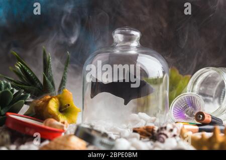 silhouette of fish under glass jar in polluted sea creative concept Stock Photo