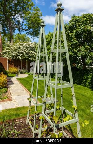 Wooden garden obelisks used as bean poles for growing runner beans in a drive towards self sufficiency during Covid-19 lockdown, May 2020, England, UK Stock Photo