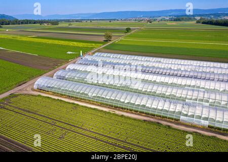 Greenhouses and cropland for the cultivation of vegetables in the vegetable growing area Seeland - Grosses Moos, Kerzers, Switzerland Stock Photo
