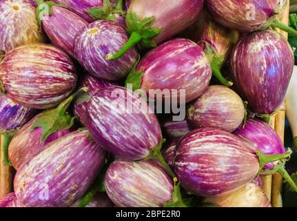Eggplant harvest from market close-up focus. Purple eggplants. Raw eggplant on vegatable market Stock Photo