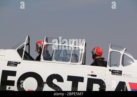 South African Harvards Stock Photo