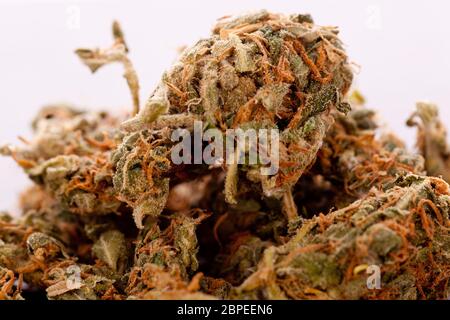 Cannabis marihuana blüten in kleinem Beutel Drogen Nahaufnahme Stock Photo