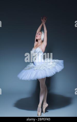 Portrait of the ballerina  in the role of a white swan on blue background Stock Photo