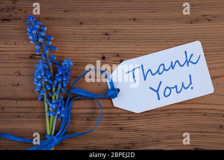 Label With English Text Welcome. Blue Spring Grape Hyacinth With Ribbon. Aged, Rustic Wodden Background. Greeting Card For Spring Season Stock Photo