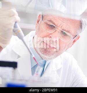 Life scientist researching in laboratory. Life sciences study living organisms on the level of microorganisms, viruses, human, animal and plant cells, Stock Photo