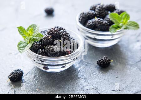 Fresh organic black mulberry in a small dessert plates with mint leaves. Stock Photo