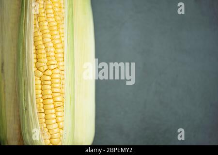Fresh raw corn cobs on concrete, stone background. Tasty, healthy and organic food. Top view, flat lay composition. Stock Photo