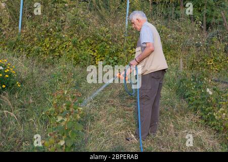 Senior man watering plants in his garden. Retired gardener watering the garden with hose. Happy older man gardening. Stock Photo