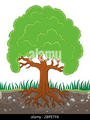 Tree with roots theme image 2 - picture illustration Stock Photo - Alamy