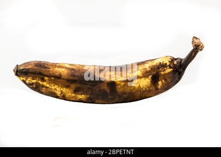 One older brown banana with white background Stock Photo