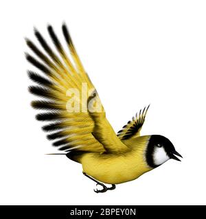 3D rendering of a flying songbird goldfinch isolated on white background Stock Photo