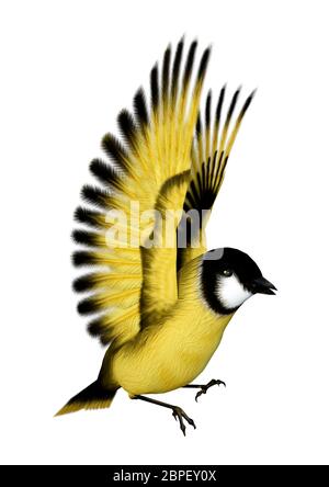 3D rendering of a flying songbird goldfinch isolated on white background Stock Photo