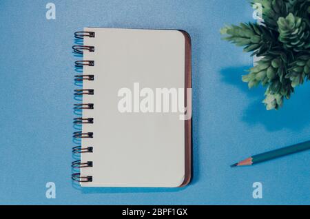 Blank notebook, pencil and tree in pots on a blue background Stock Photo