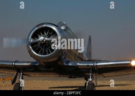 South African Harvards Stock Photo