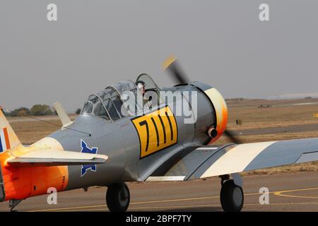 South African Harvards Stock Photo