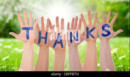 Many Hands Building English Word Thanks. Sunny And Shiny Grass Meadow With Daisy As Background Stock Photo