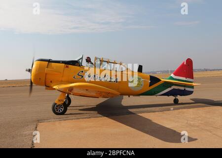 South African Harvards Stock Photo