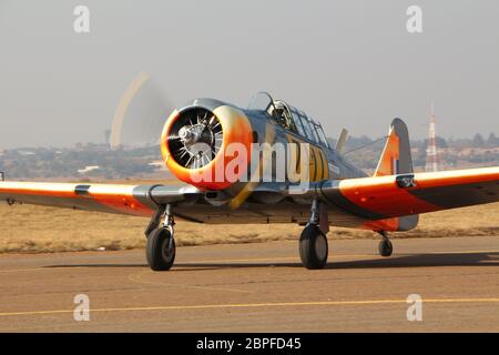 South African Harvards Stock Photo