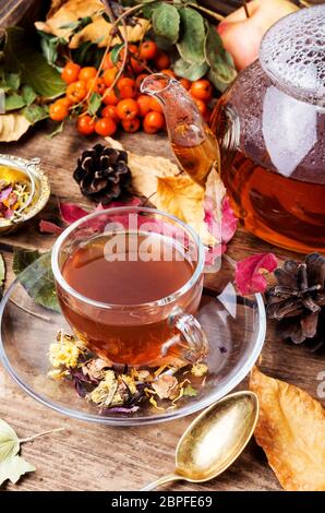 Cup with tea on an autumn background of fallen leaves, apples.Autumn postcard Stock Photo