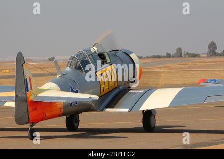 South African Harvards Stock Photo