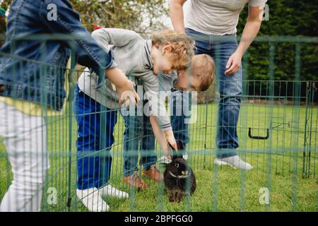 Group of children kneeling outdoors next to a rabbit pen. They are leaning over the fence to pet the rabbit. Stock Photo