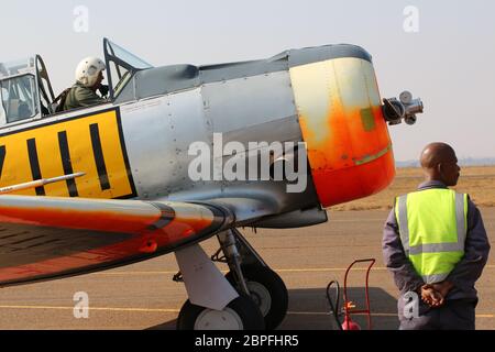 South African Harvards Stock Photo