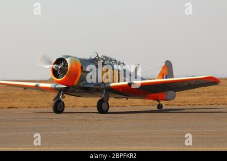 South African Harvards Stock Photo