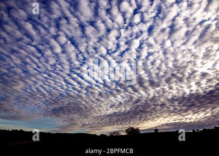 Mackerel sky, Altocumulus, Atmosphere, Backgrounds, Beauty, Blue, Bright, Cirrocumulus, Cirrostratus, Cirrus, Cloud - Sky, Cloudscape, Stock Photo