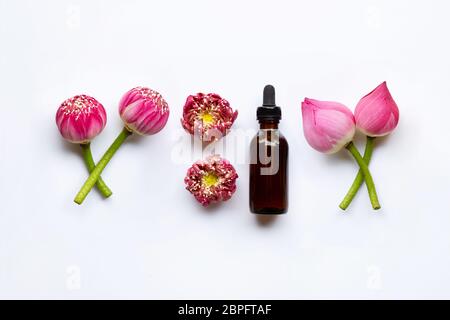 Lotus essential oil with lotus flowers on white background. Stock Photo