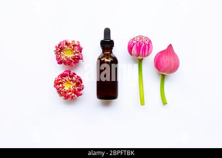 Lotus essential oil with lotus flowers on white background. Stock Photo