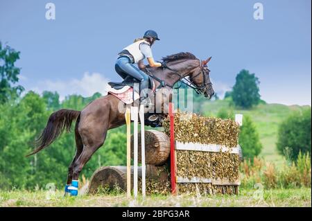 Eventing: equestrian rider jumping over an a brance fence obstacle Stock Photo