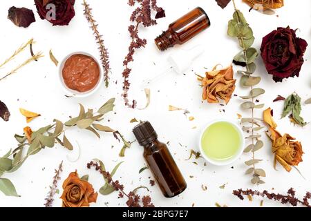 Aromatic botanical cosmetics. Dried herbs flowers mixture, facial mud clay mask, oils, applying brush. Holistic herbal skincare beauty hack Stock Photo