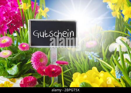 Sign With German Text Gutschein Means Voucher. Sunny Spring Flower Meadow With Daisy, Narcissus, Primrose And Hyacinth. Stock Photo