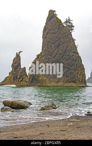 Dramatic Sea Stack on the Ocean Shore on Rialto Beach in Olympic National Park in Washington Stock Photo