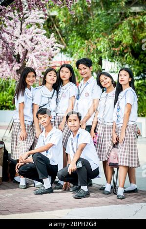 Playful Filipino school children pose in a park in Angeles City, The Philippines, South East Asia. Stock Photo