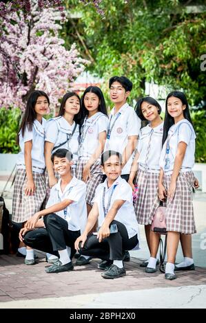 Playful Filipino school children pose in a park in Angeles City, The Philippines, South East Asia. Stock Photo