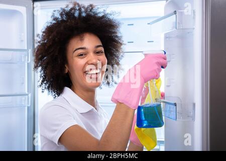 Young Happy Cleaning Lady Cleaning The Empty Refrigerator Door With Spray Bottle And Napkin Stock Photo