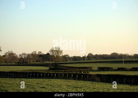 View towards Brabourne Lees across fields and farmland near Ashford in Kent, England Stock Photo