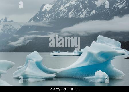 Icebergs from Glacier Grey calved onto Lago Grey, Torres del PAine National Park, Patagonia, Chile, South America Stock Photo