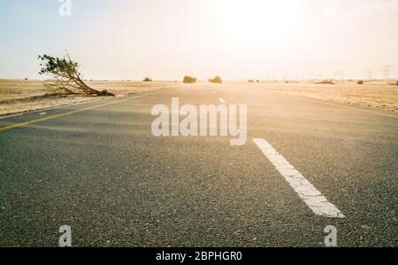 Sand is blowing across a desert road near Dubai in UAE. Stock Photo