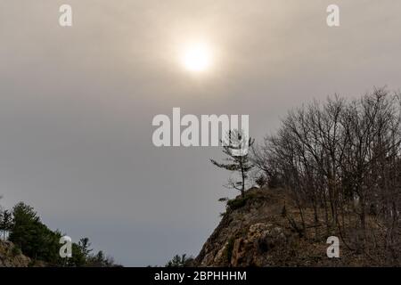 Hazy sun peeks through low lying clouds in a forest. Stock Photo