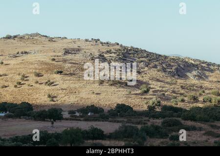a very good looking wide shoot from a bold mountain. photo has taken at izmir/turkey. Stock Photo