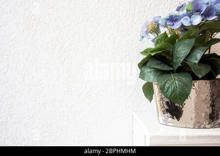 blue Hydrangea flowers in a pot on a white background on wooden shelve, home decoration design Stock Photo