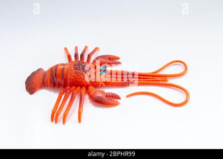 toy lobster on white background Stock Photo
