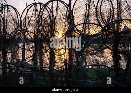 A fish trap is a stationary trap used for fishing. Stock Photo