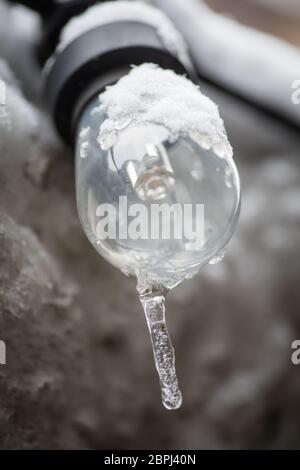 Color image of a frozen light bulb. Stock Photo