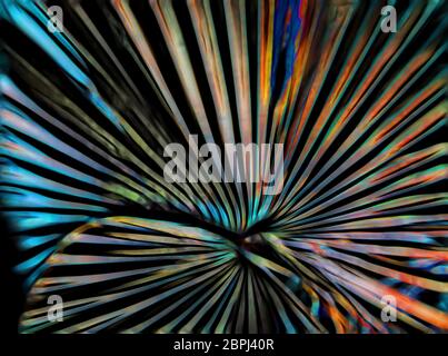 Colorful bright abstract lines Stock Photo