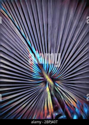 Colorful bright abstract lines Stock Photo