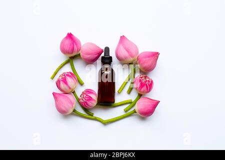 Lotus essential oil with lotus flowers on white background. Stock Photo